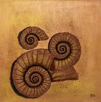 Acrybild Ammoniten