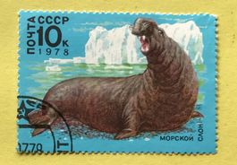 Briefmarken aus Sowjetunion (CCCP) gestempelt  