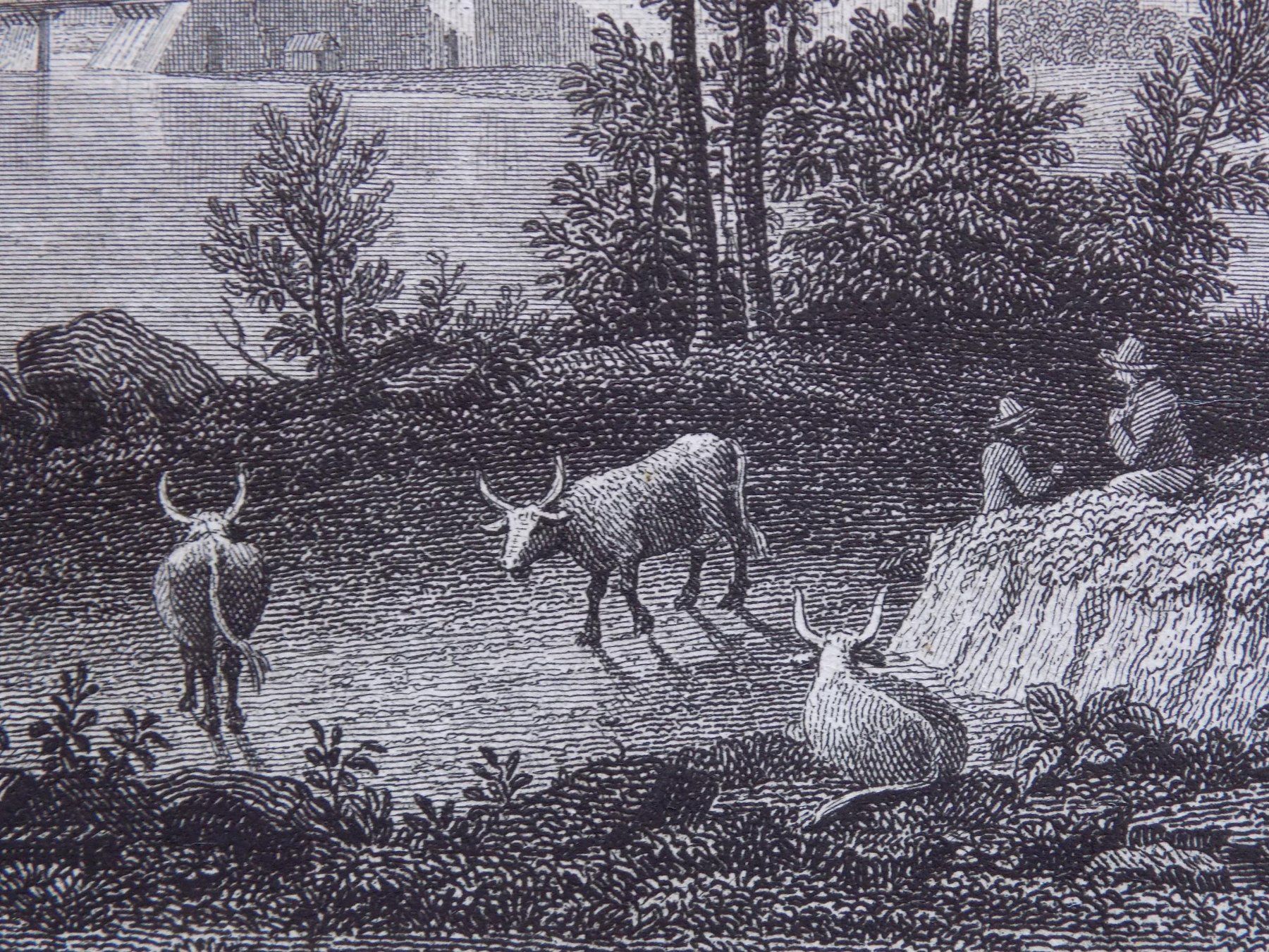 Incisioni: Aarau – Usato da Risch venduto da Rischli15 9