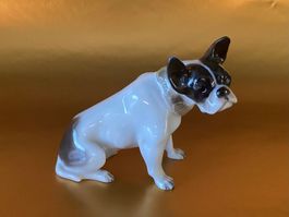 Rosenthal Porzellan Figur / Französische Bulldogge