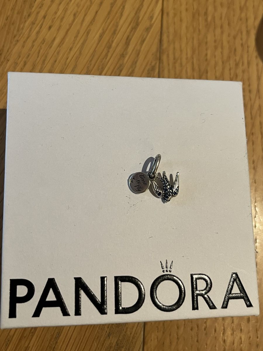 Pandora Anhänger: Pandora Charm Time to fly – Neu (gemäss Beschreibung) aus Hägglingen von h.hub