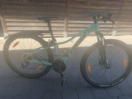 Trek Kindervelo 13.5 Zoll 
