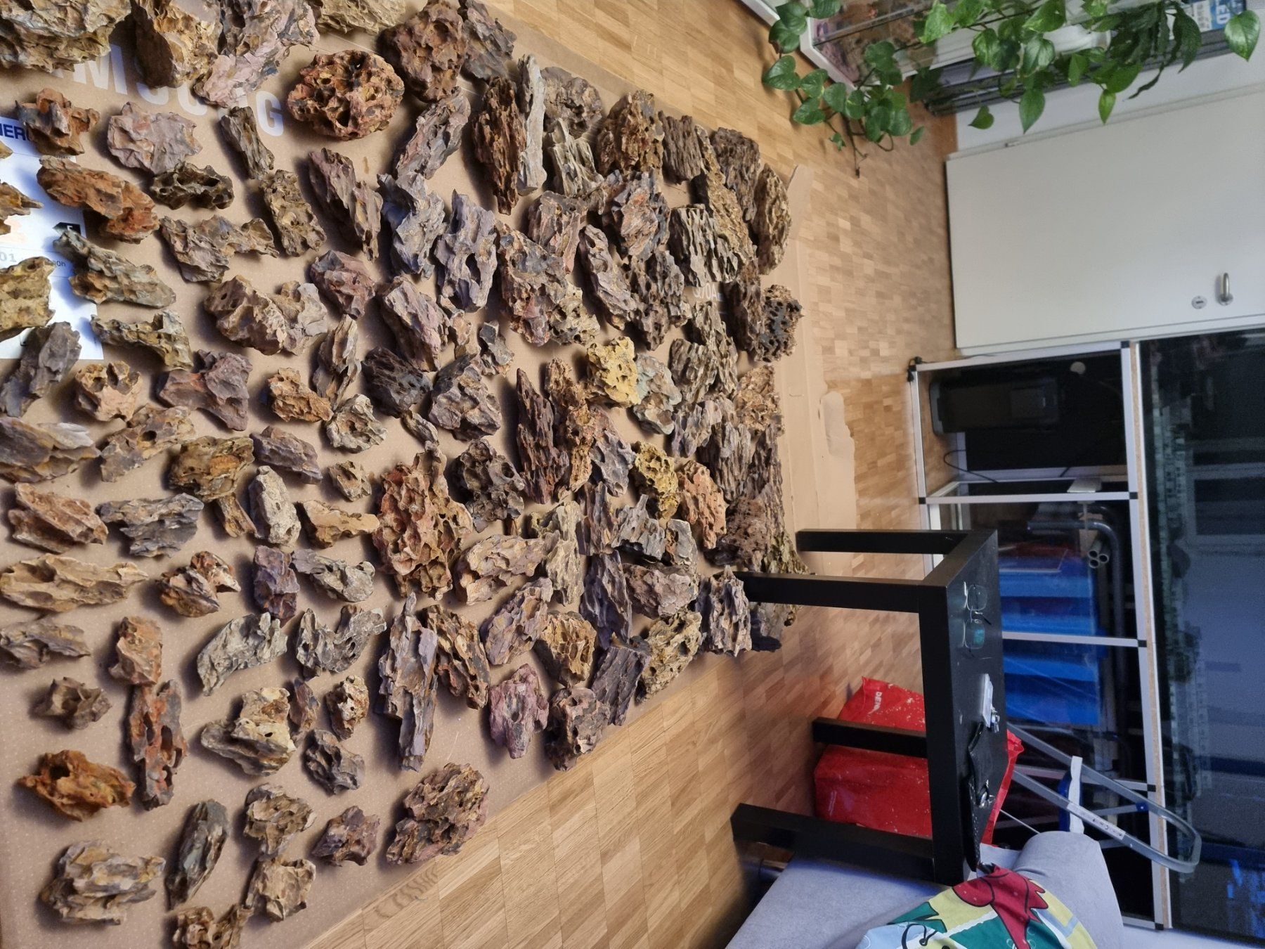 Aquarium: 960-Liter Aquarium Komplettset – Gebraucht aus Schaffhausen von Meerwasser76 4
