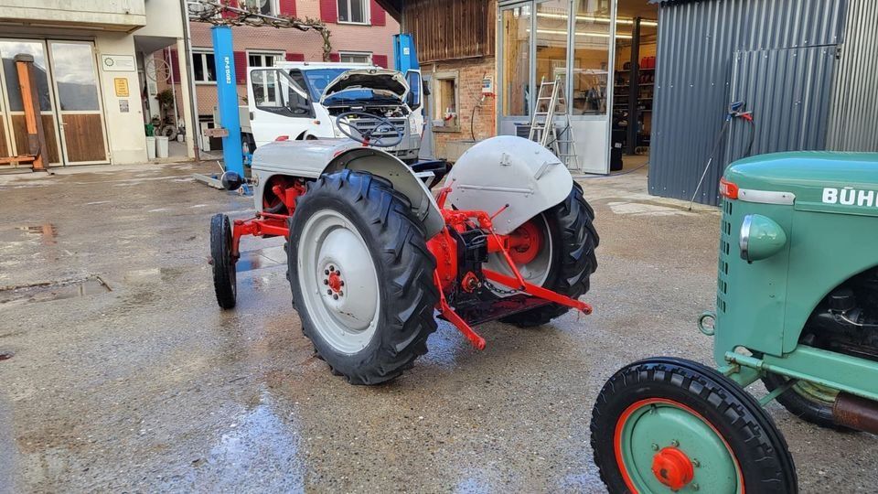 Ford Trattori: Traktor / Ford 8N – Usato da Engwilen venduto da FaehAnhaengerGmbH 2