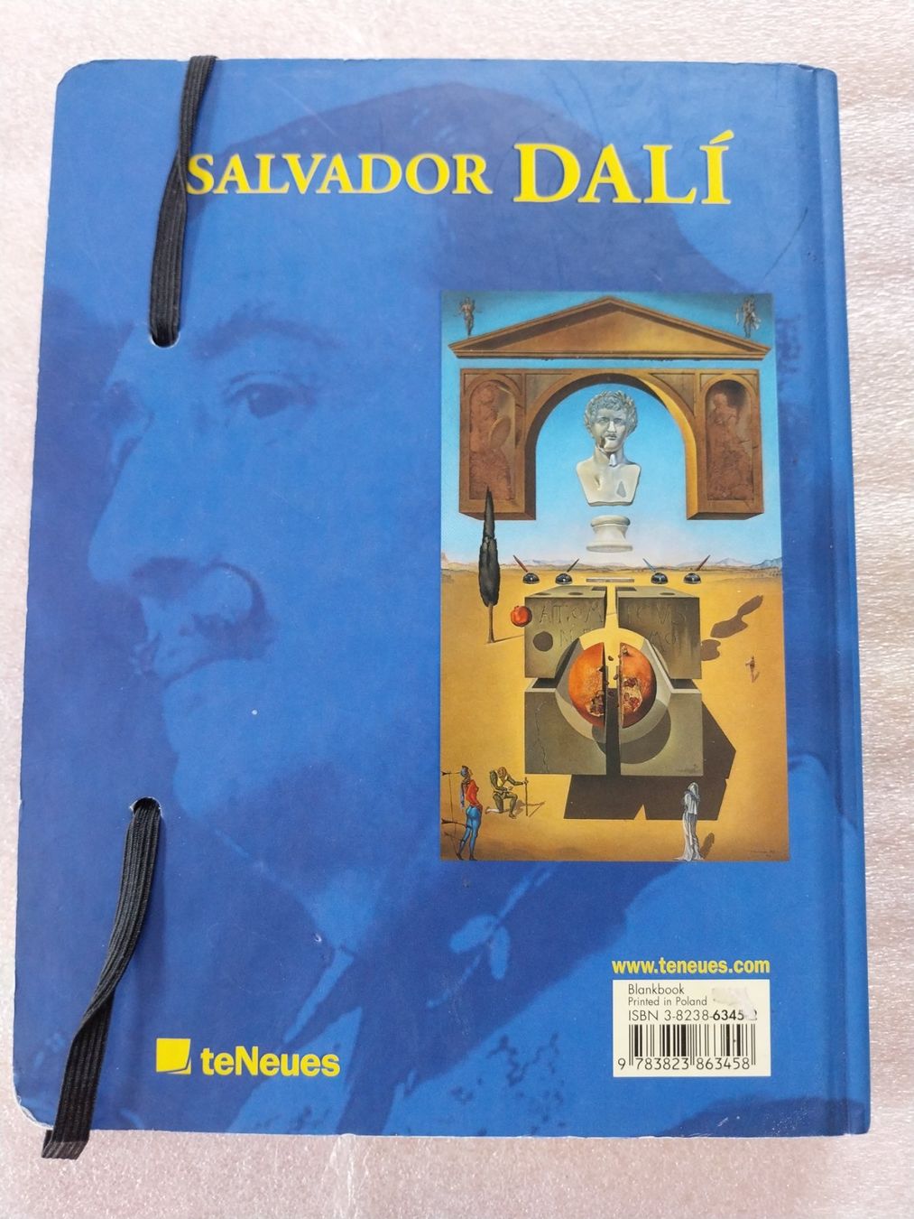 Libri: Notizbuch Dali – Nuovo (secondo la descrizione) da Schwaderloch venduto da bademeister79 1