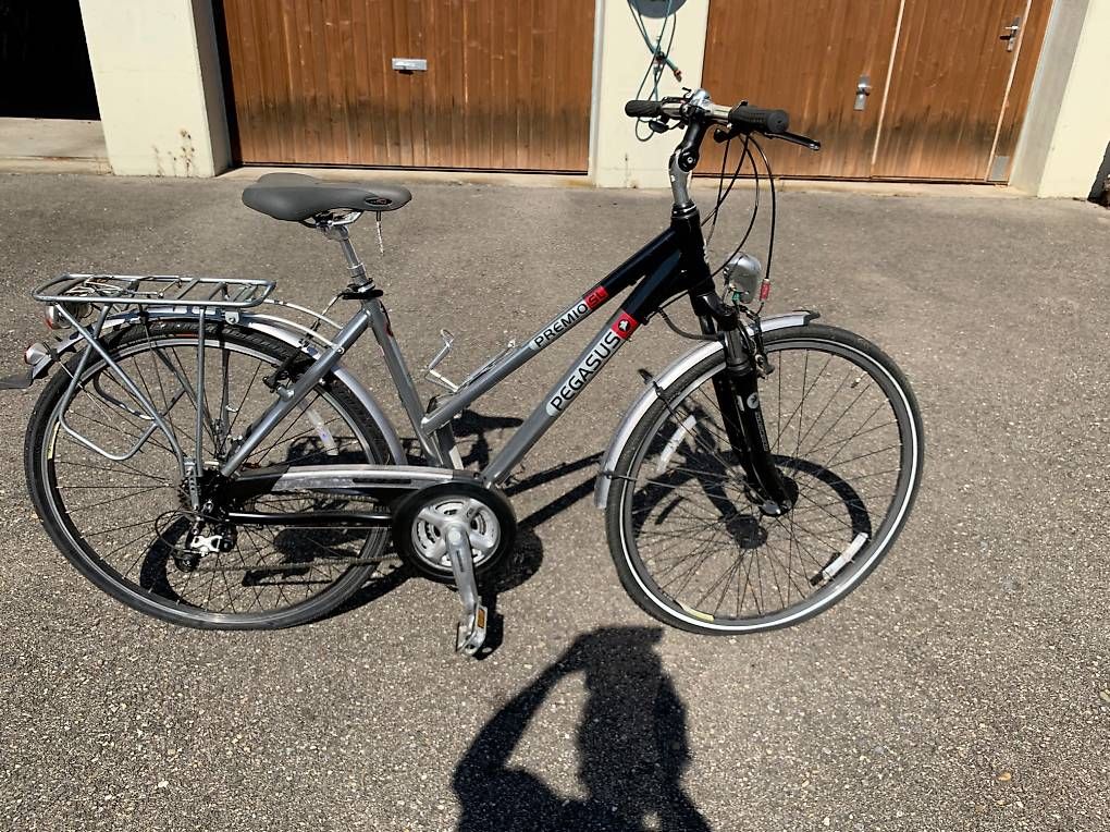 Vélos: Velo Pegasus – D'occasion à Ottikon b.Kemptth. par Diana162 1