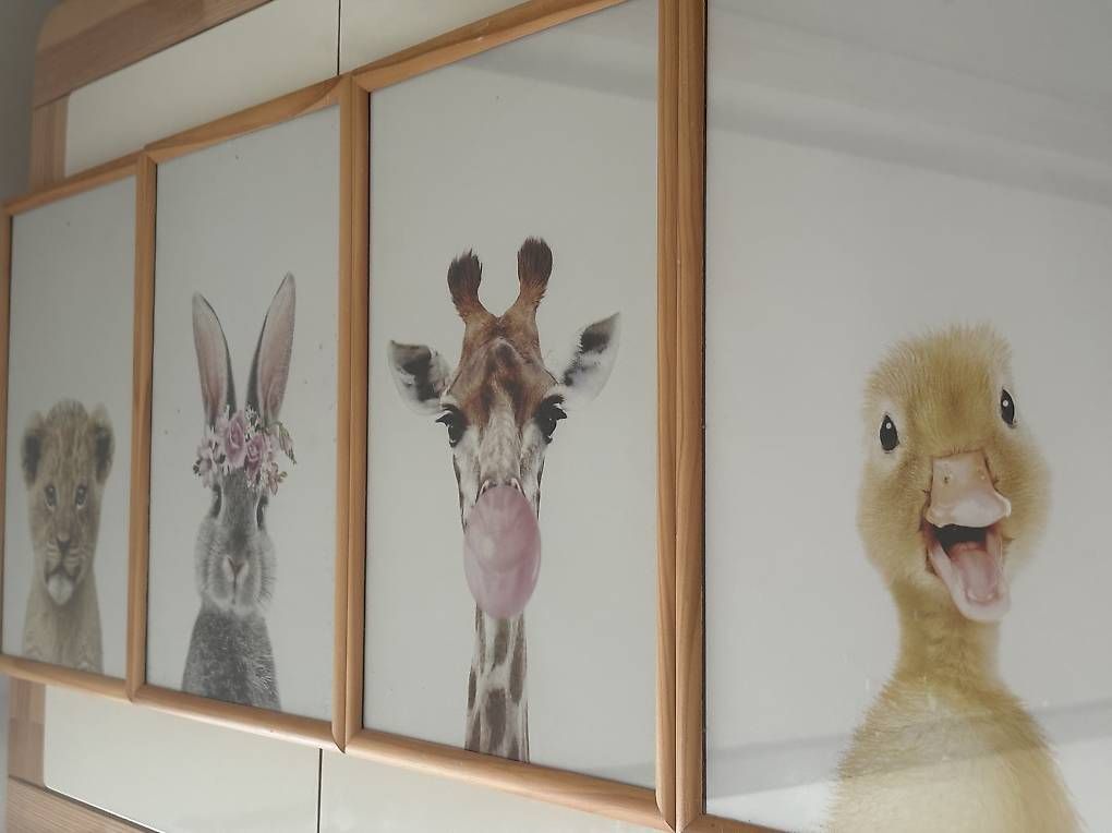 Posters & Illustrations: Wanddeko, Tierportrait 4er Set mit Eichenrahmen – D'occasion à Schlieren par var_dms8 1