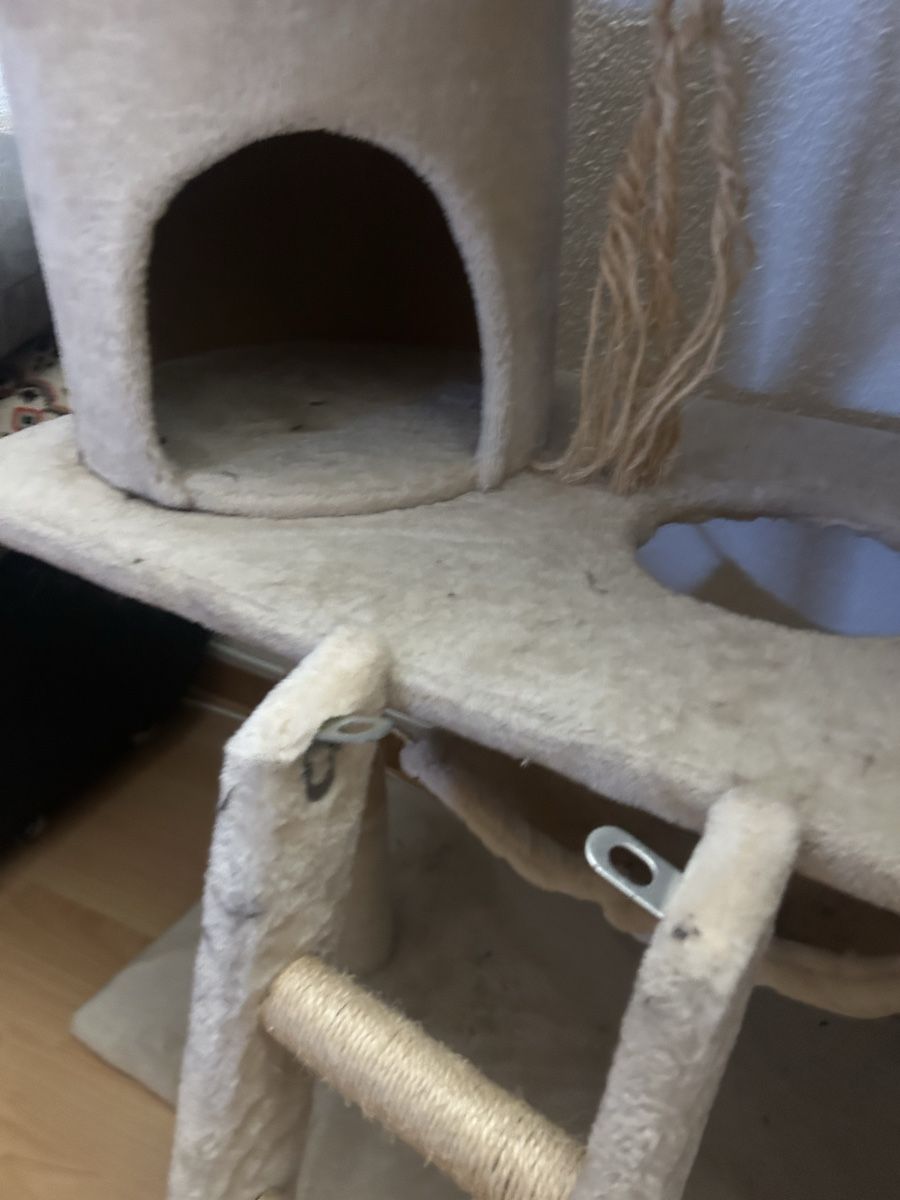 Arbres à chats: Katzenbaum – D'occasion à Oberurnen par Black_Jack_2.4 1