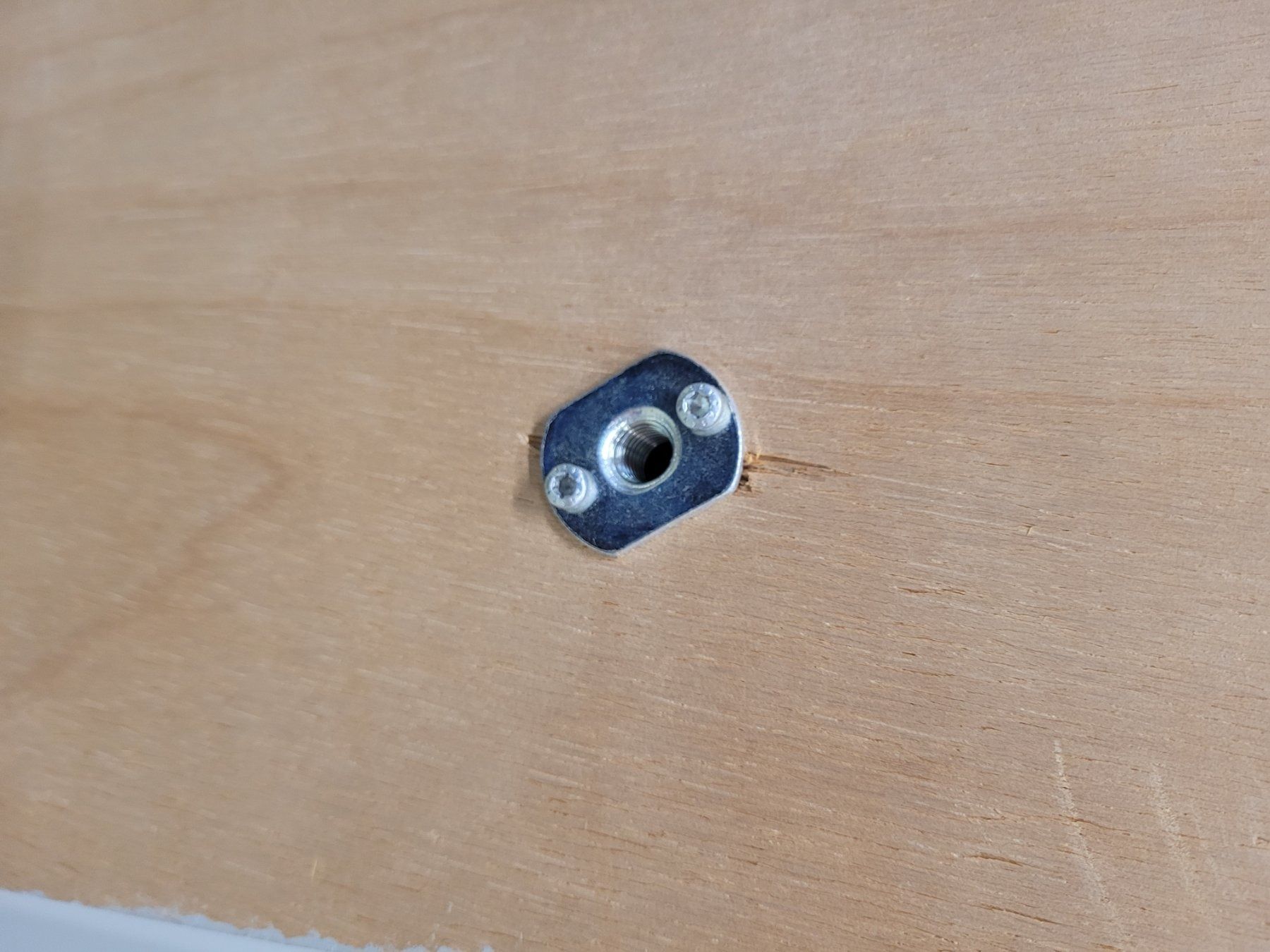 Kletterwände & Klettergriffe: Kletter- oder Boulderwand (2 Platten) mit Klettergriffen – Neu (gemäss Beschreibung) aus Frauenfeld von  3