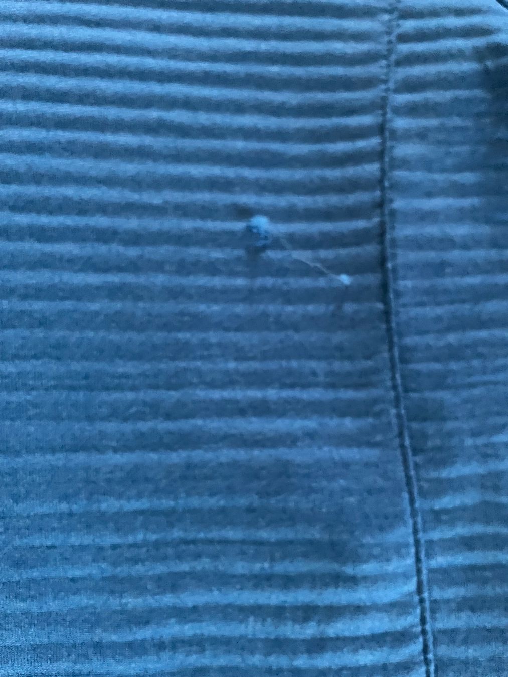 Jacken & Mäntel: Blaue Sportjacke, Gr.152 – Gebraucht aus Cham von 2eye 4