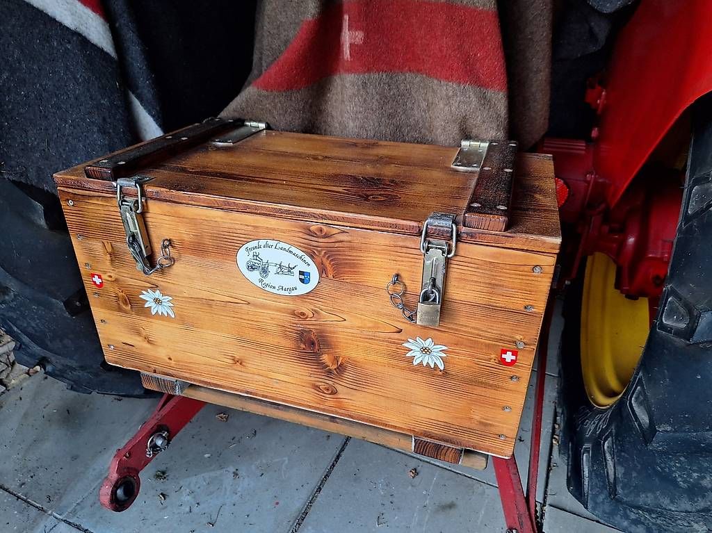 Trattori: Traktor Oldtimer Bucher D1800 mit neuer MFK – Usato da Birr venduto da kaffeeleuchten 3