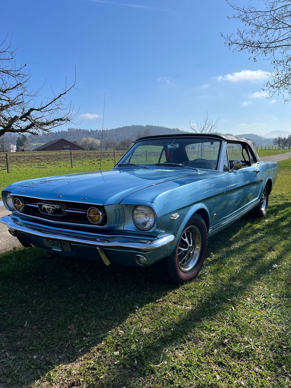 Ford Automobili: Ford Mustang GT, High Performance, K-Code – Usato da Adetswil venduto da waberg1
