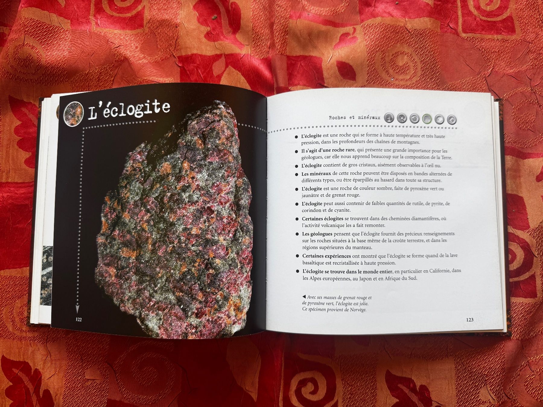 Libri: 1000 infos roches et minéraux – Usato da Ovronnaz venduto da Etagne68 5