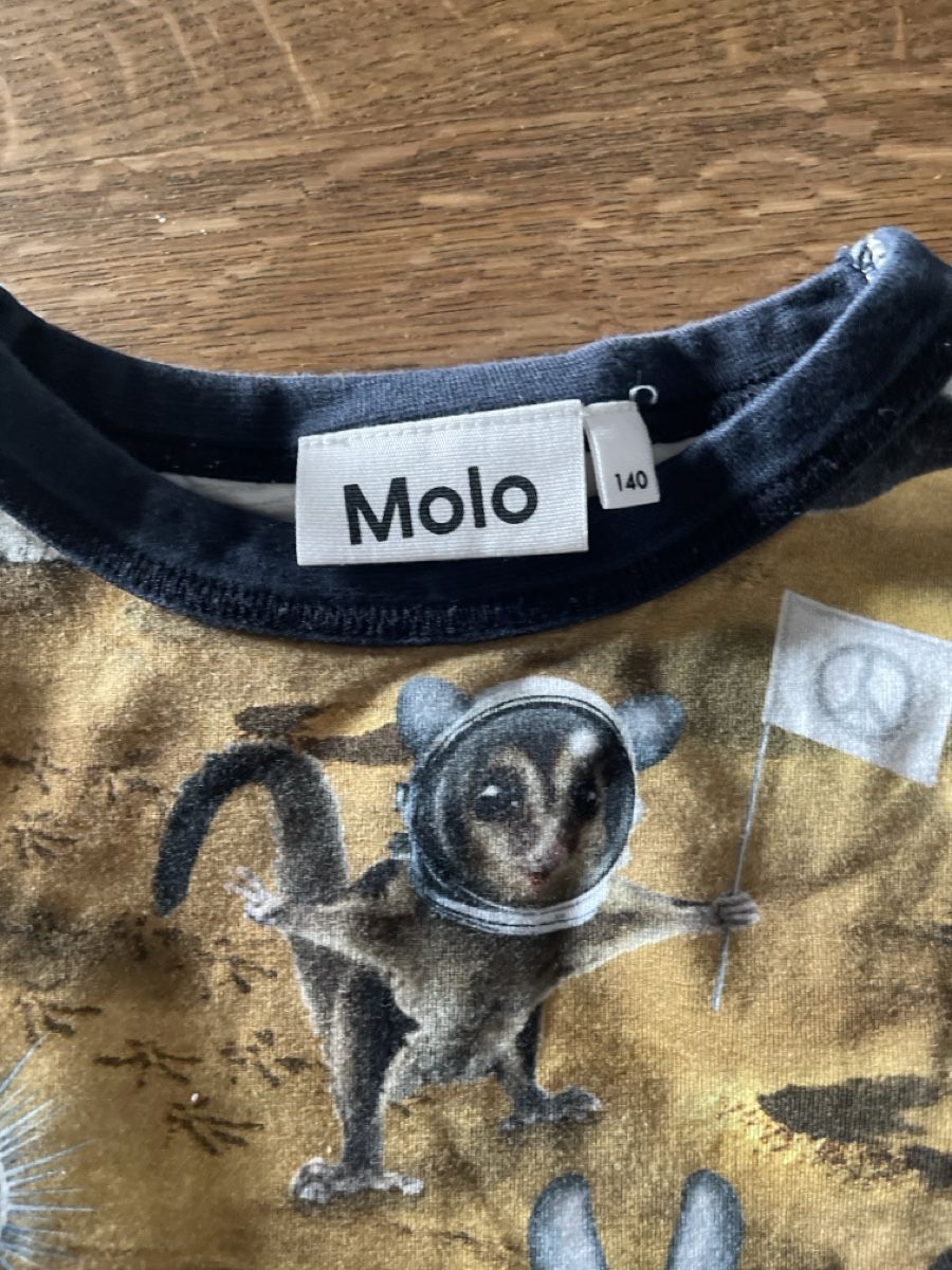 Molo Camicie, T-shirt & Polo: Molo Shirt 140  – Usato da Täuffelen venduto da Nice800 1