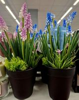 Künstliche Muscari Pflanze 20 cm im Topf Blau/Rosa