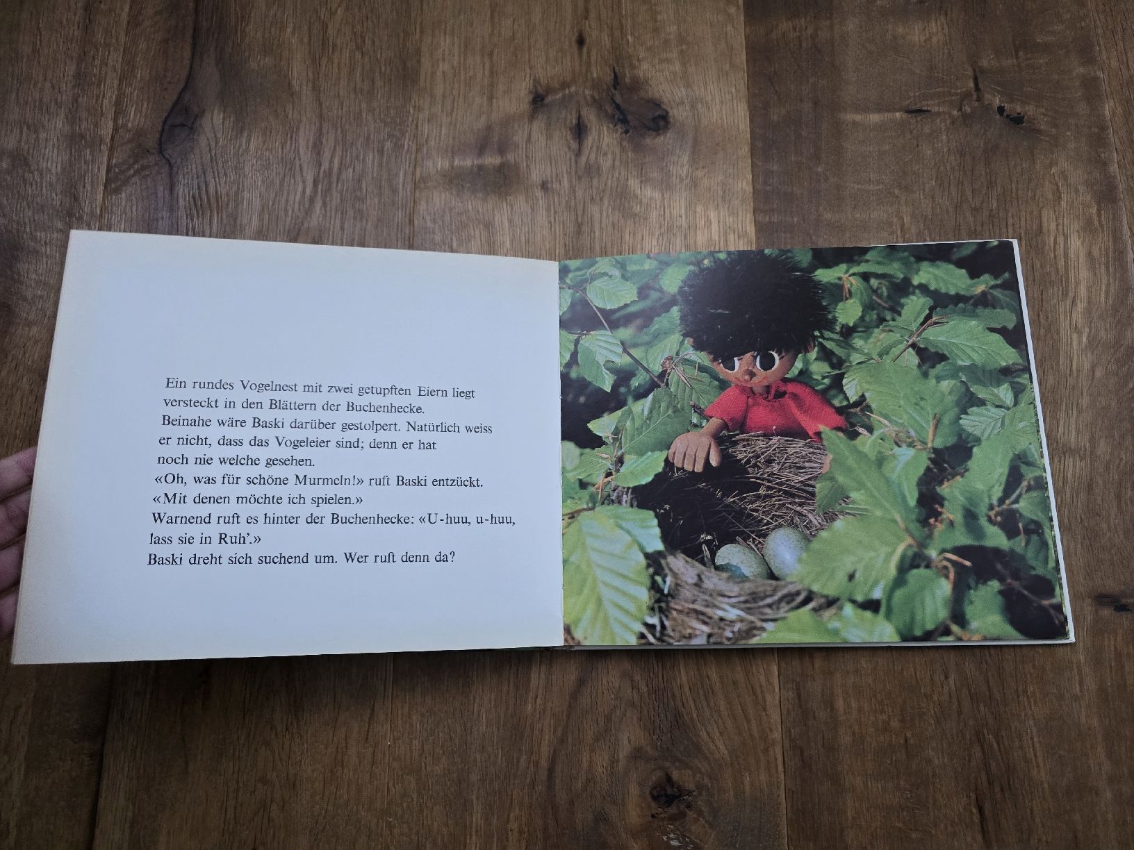 Libri: buch baski – Usato da Wittenbach venduto da Tigerlili 3