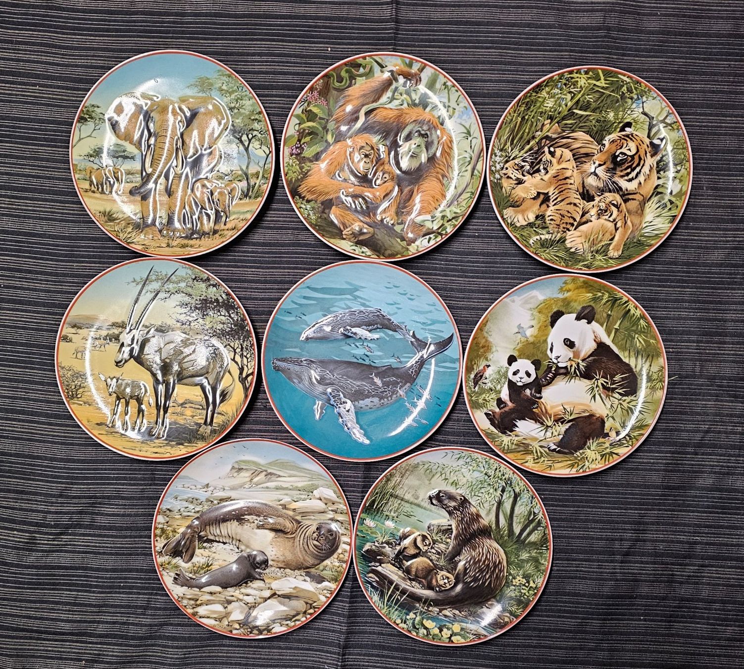 Assiettes: "WORLD WILDLUFE FUND"8 TELLER – D'occasion à Schönenwerd par Sneki55
