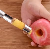 Entkerner Obstentkerner Küchenhilfe