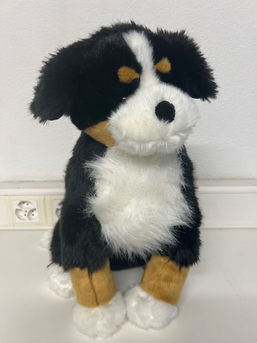 Giocattoli: Plüschtier Bernardinerhund – Usato da Bottmingen venduto da ale3829