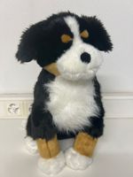Plüschtier Bernardinerhund