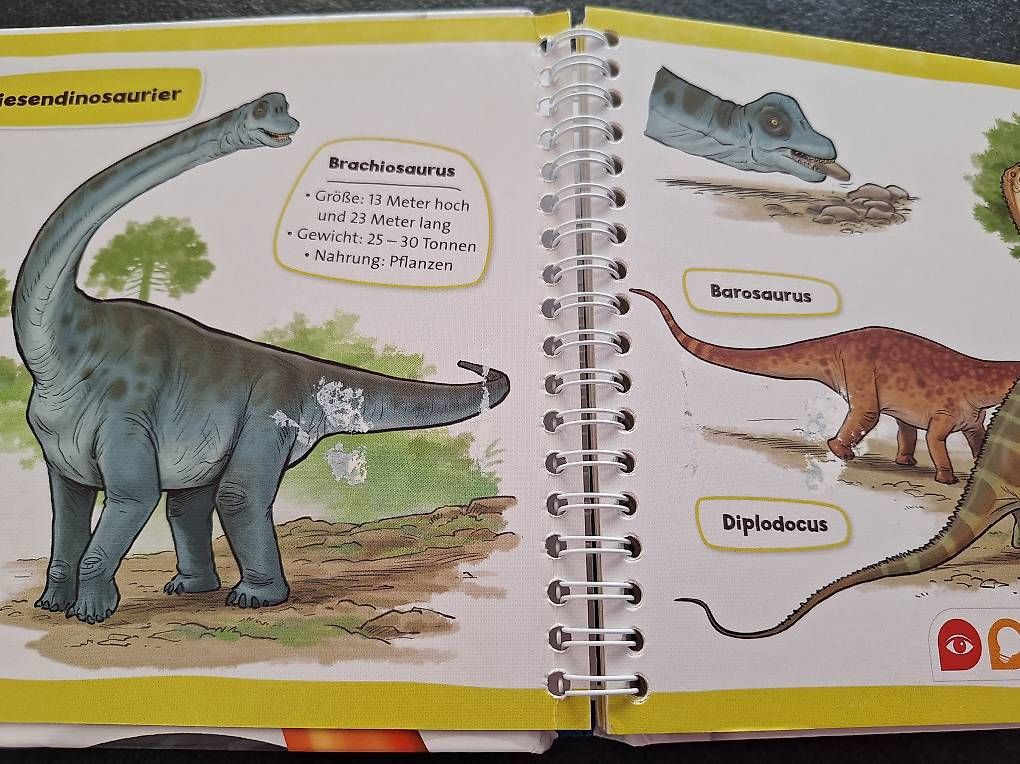 Livres: Pocket Wissen Dinosaurier tiptoi – D'occasion à Kloten par Beeway 1