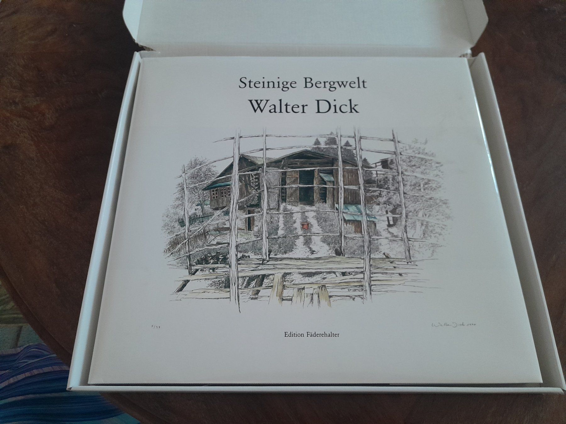 Libri: Walter Dick Steinige Bergwelten – Usato da Semione venduto da samodiva80 2