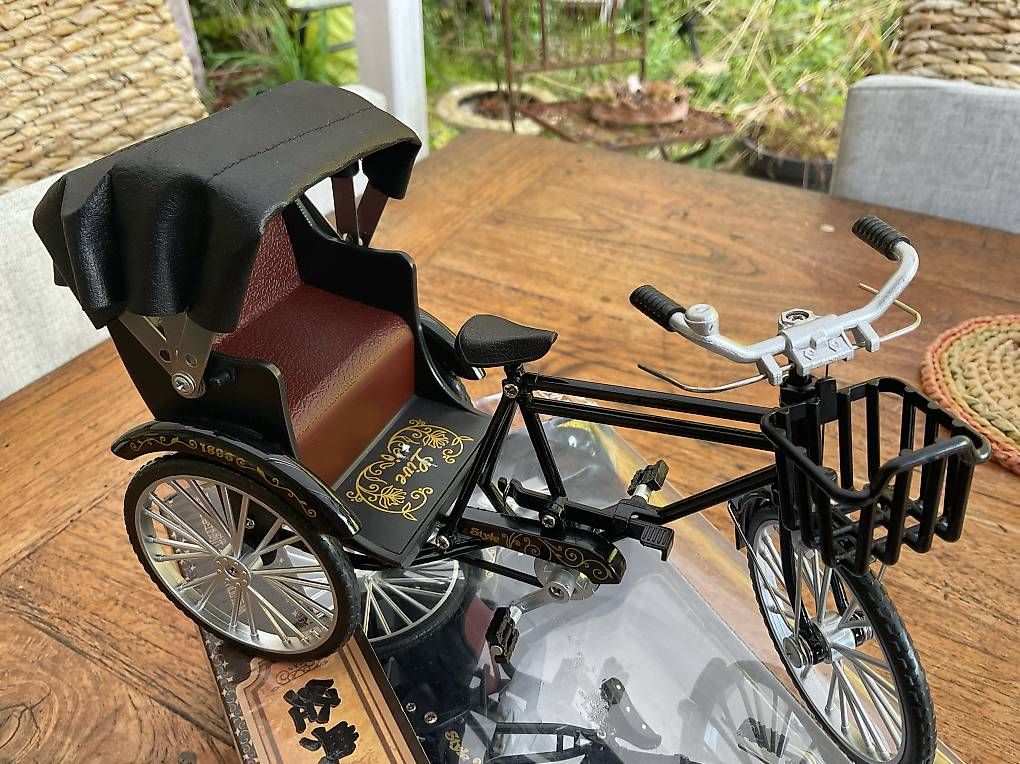 Velos: Rikscha Model – Gebraucht aus Nunningen von south-islander 1