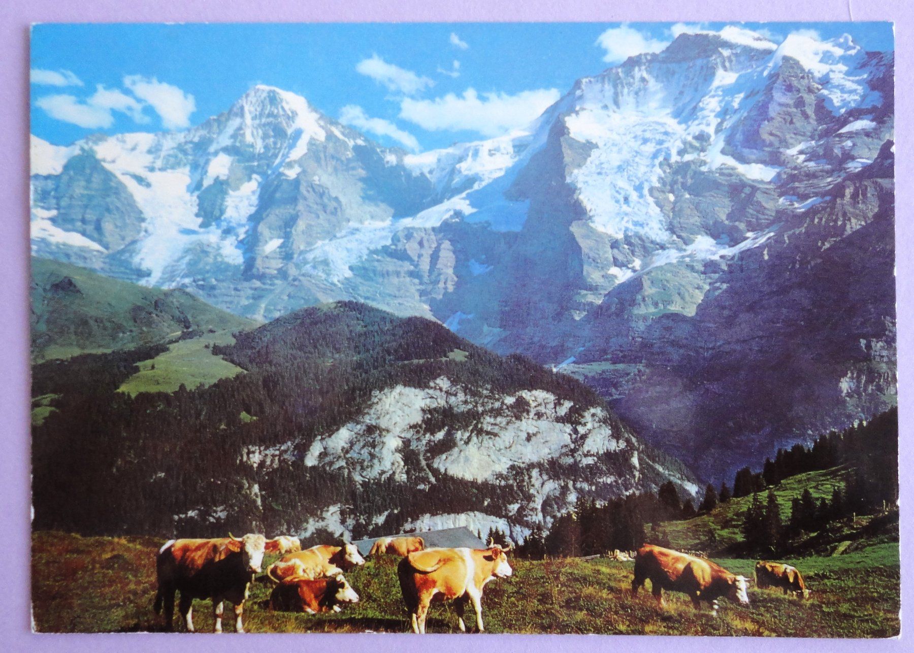 Cartoline postali: Interlaken, Mönch und Jungfrau – Usato da Fétigny venduto da Billy2miny