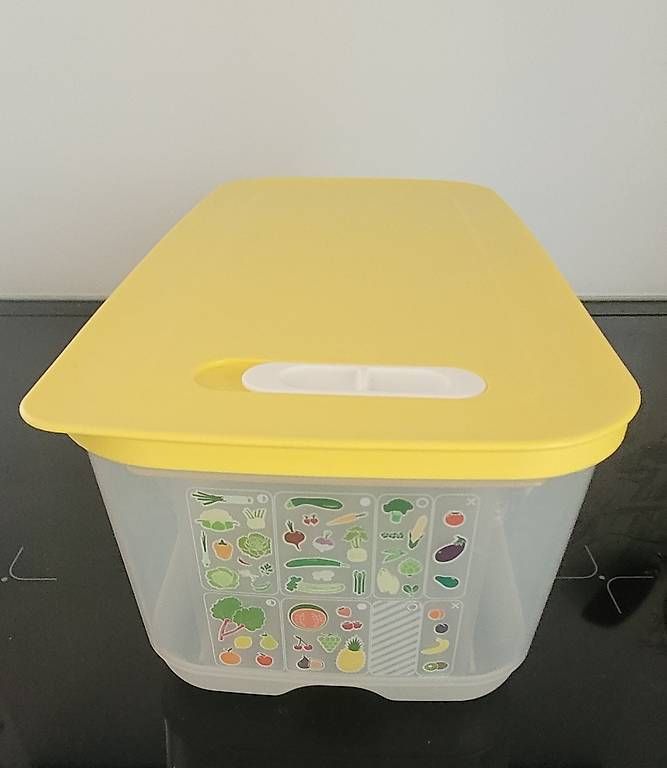 Tupperware Contenitori & Simili: Tupperware Kühlschrankfrischebox – Usato da Lostorf venduto da Takel 3