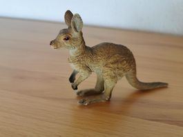 Känguru, Kangaroo AAA, Rarität