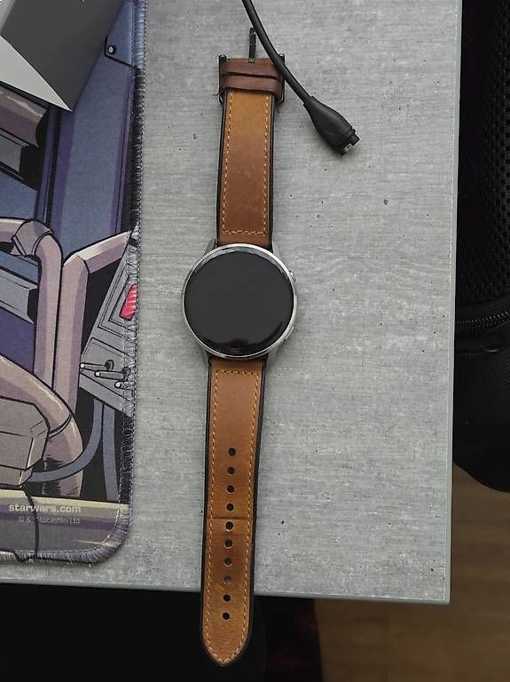 Smartwatch: Garmin Venu 4 – Usato da Perlen venduto da SV-Metallica 1
