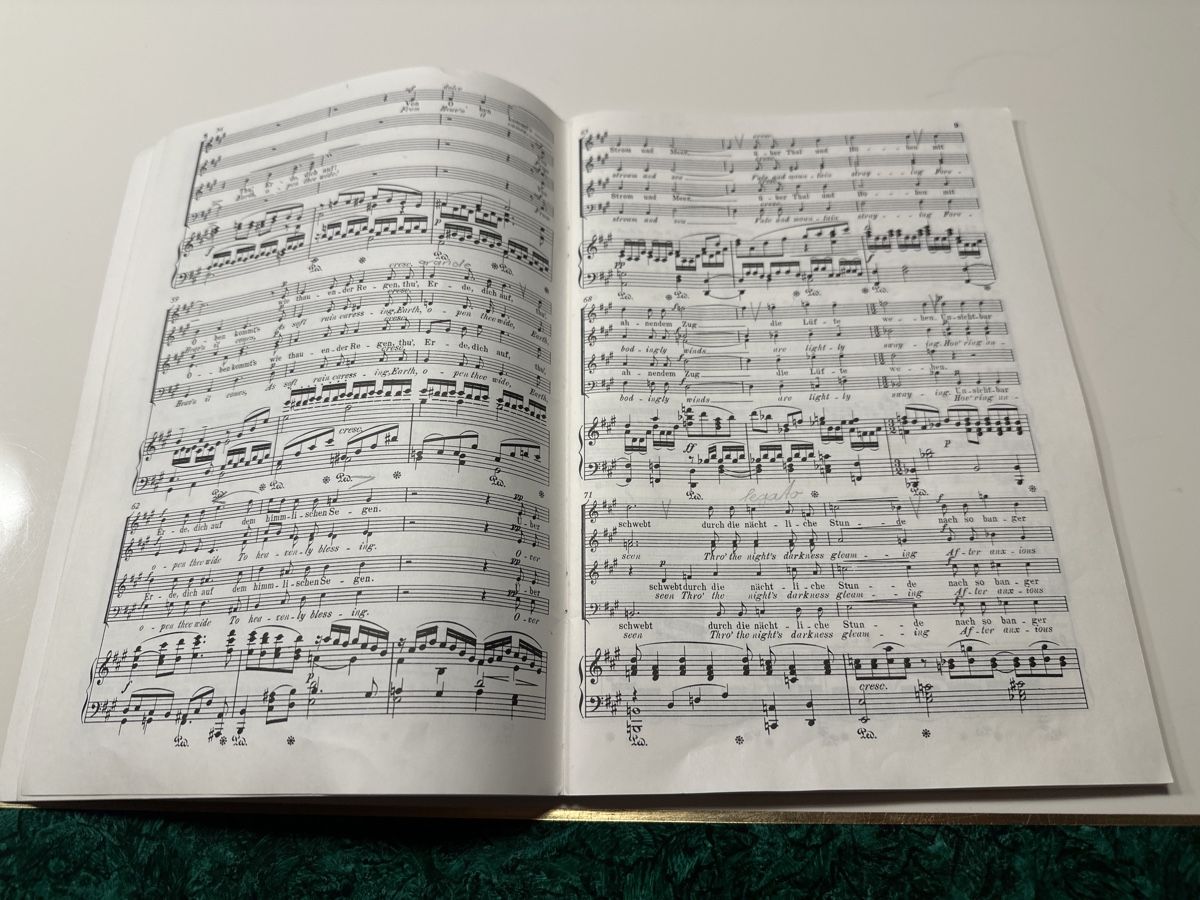 Libri: Der Stern von Bethlehem, Klavierauszug – Usato da Wald ZH venduto da Martin79 5
