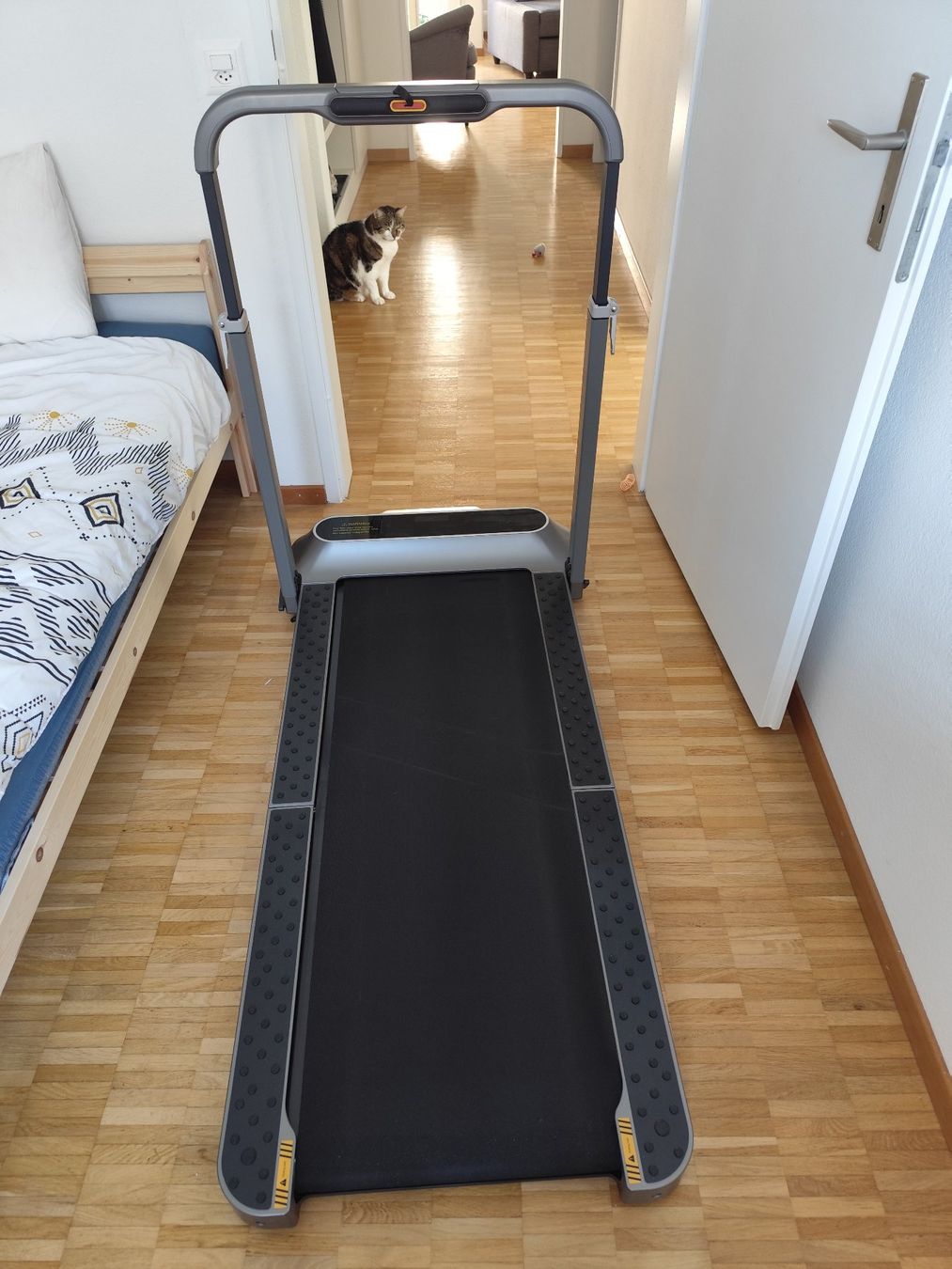 Macchine per carico, silaggio e trasporto: Tapis de marche (Kingsmith R2) – Usato da St. Gallen venduto da CoralieCapt