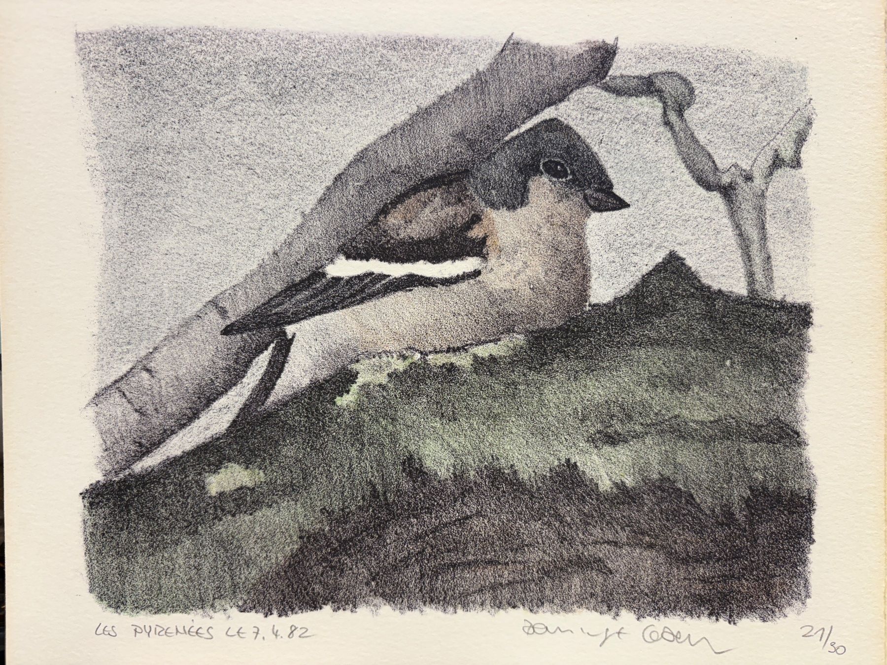 Grafica & Litografie: DOMINIQUE COSANDEY LITHOGRAPHIE ORIGINALE "OISEAU" – Usato da Genève venduto da aic_p8ld 1