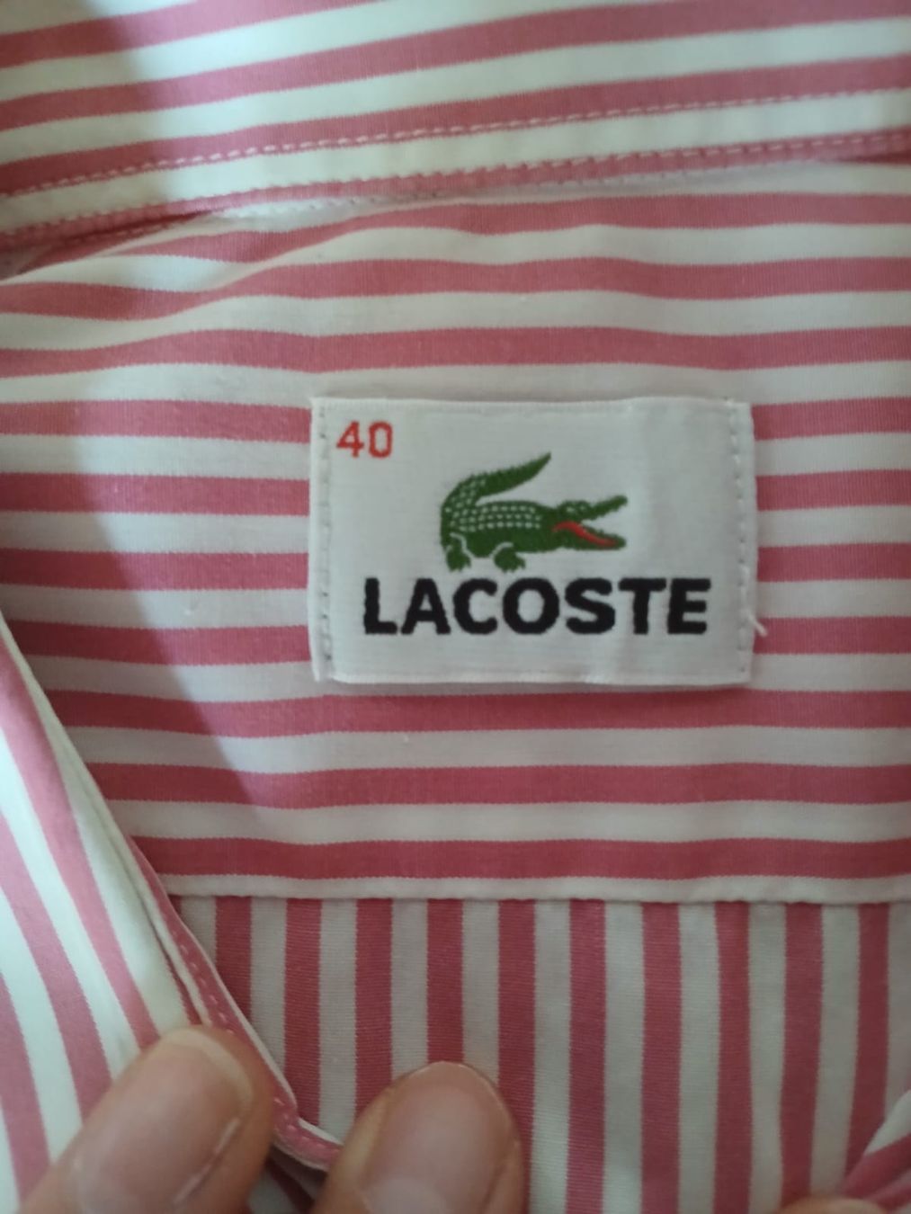 Lacoste Camicie: Lacoste Hemd 40 – Usato da Brittnau venduto da Gismo2012 1