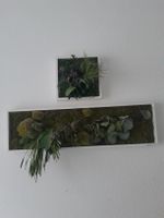 Echtmoosbild von StyleGreen