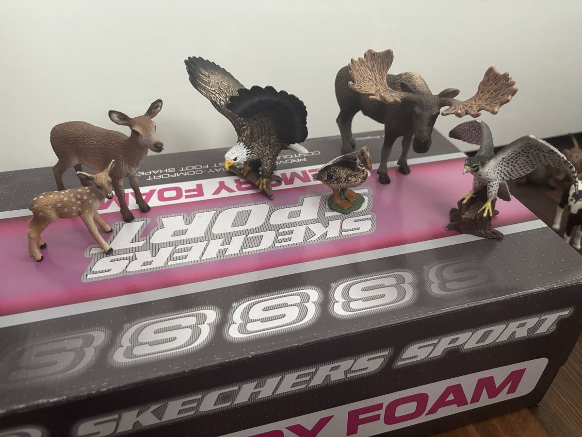 Schleich Statuette: Schleich Waldtiere – Usato da Arbon venduto da Ursula_566