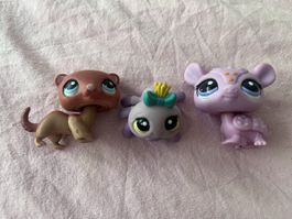 x3 Littlest Pet Shop (334 + 1031 + 2183)