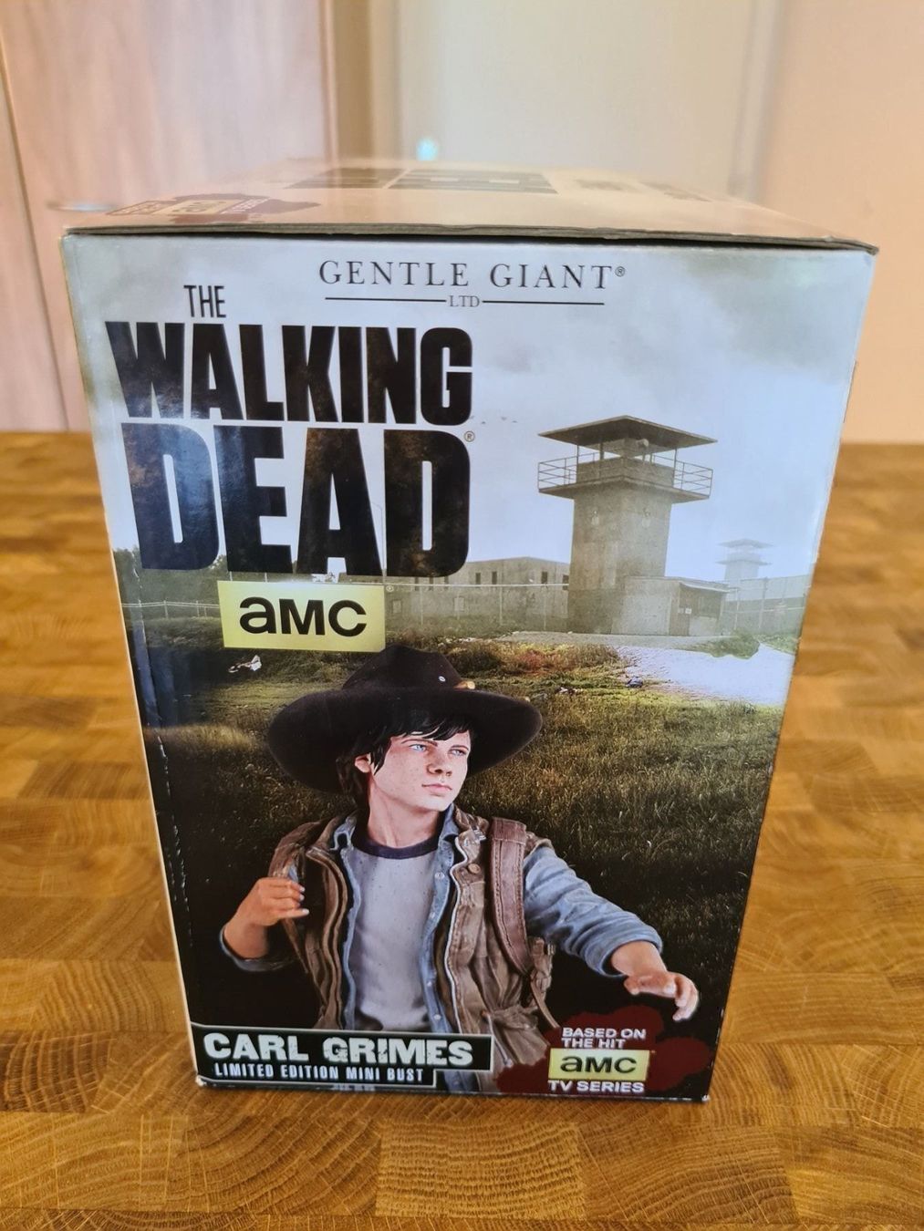 Gentle Giant Statuette: Walking Dead Carl Grimes Bust Limité – Nuovo e nell'imballaggio originale da Broc venduto da jcr_5cqy 4