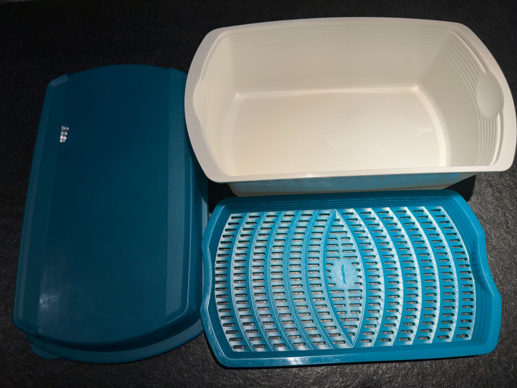 Tupperware Contenitori & Simili: Tupperware Fuor Season Frischebehälter – Usato da Schönenberg an der Thur venduto da ottawa06 3