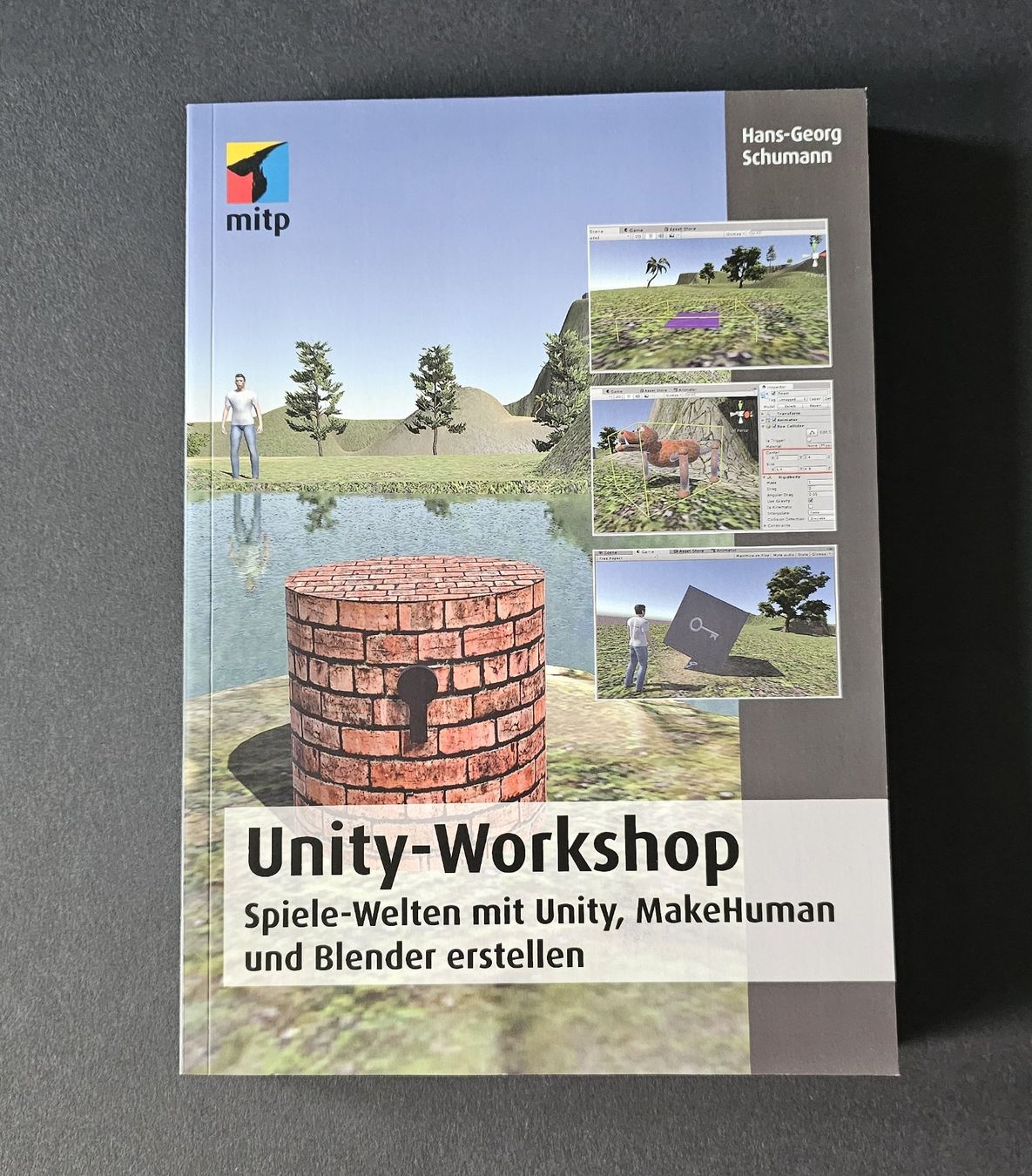 Libri: Unity-Workshop - Spiele-Welten mit Unity - mitp Verlag – Usato da Lenzburg venduto da Pa_hcs