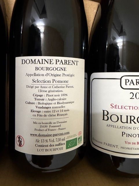 Vino: Domaine Parent Bourgogne 2022 – Nuovo e nell'imballaggio originale da Domat/Ems venduto da chrislassi 2