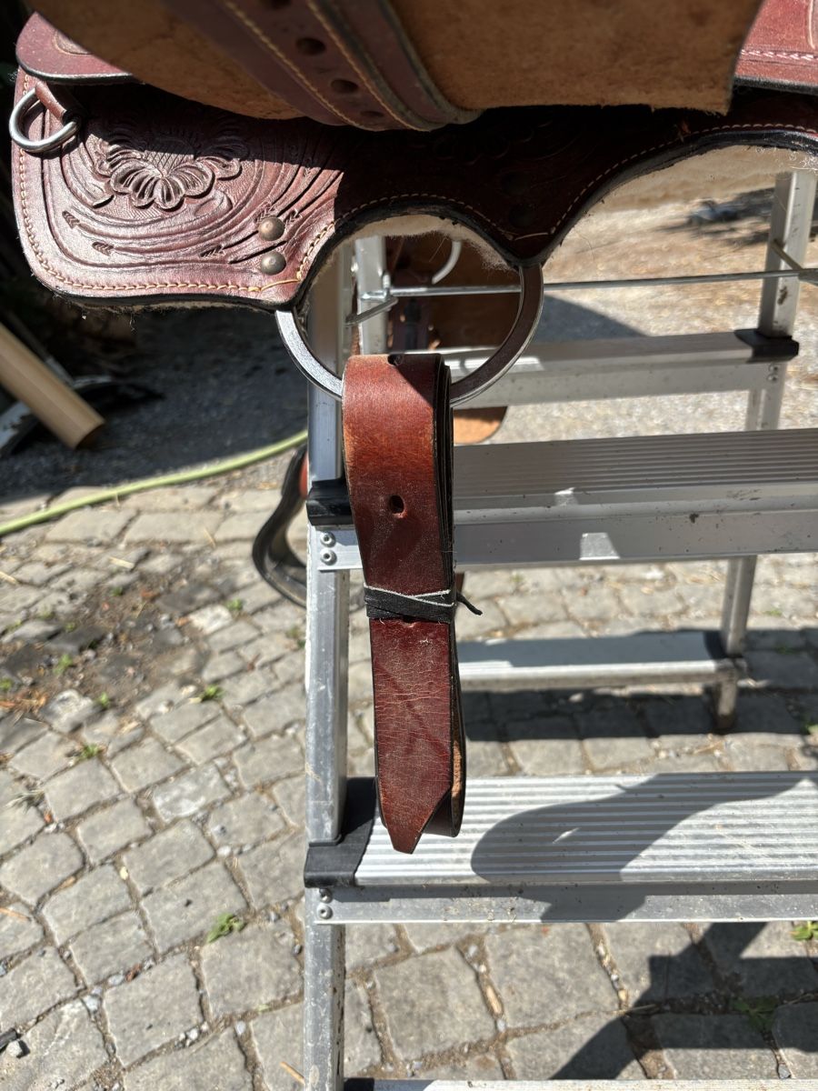 Selle & Accessori: Sattel – Usato da St. Gallen venduto da may_8fbd 2