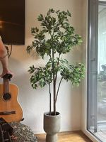 Fausse plante d'intérieur 