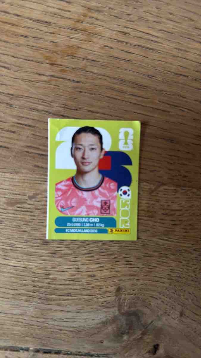 Panini Carte collezionabili: Panini Sticker Cho Gue-sung used – Usato da Jenaz venduto da herr-fino