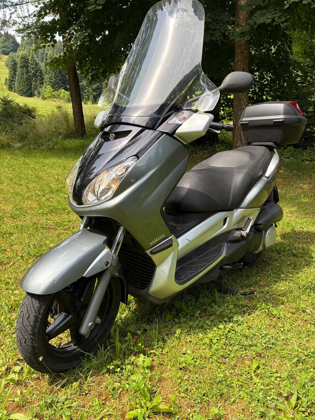 Yamaha Scooter: Yamaha yp 250 – Usato da St.Gallen venduto da niki112 1