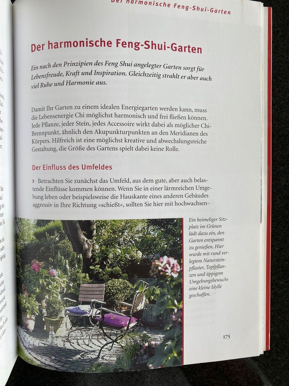 Libri: Günther Sator - Feng Shui – Usato da Meisterschwanden venduto da Lapins2019 9