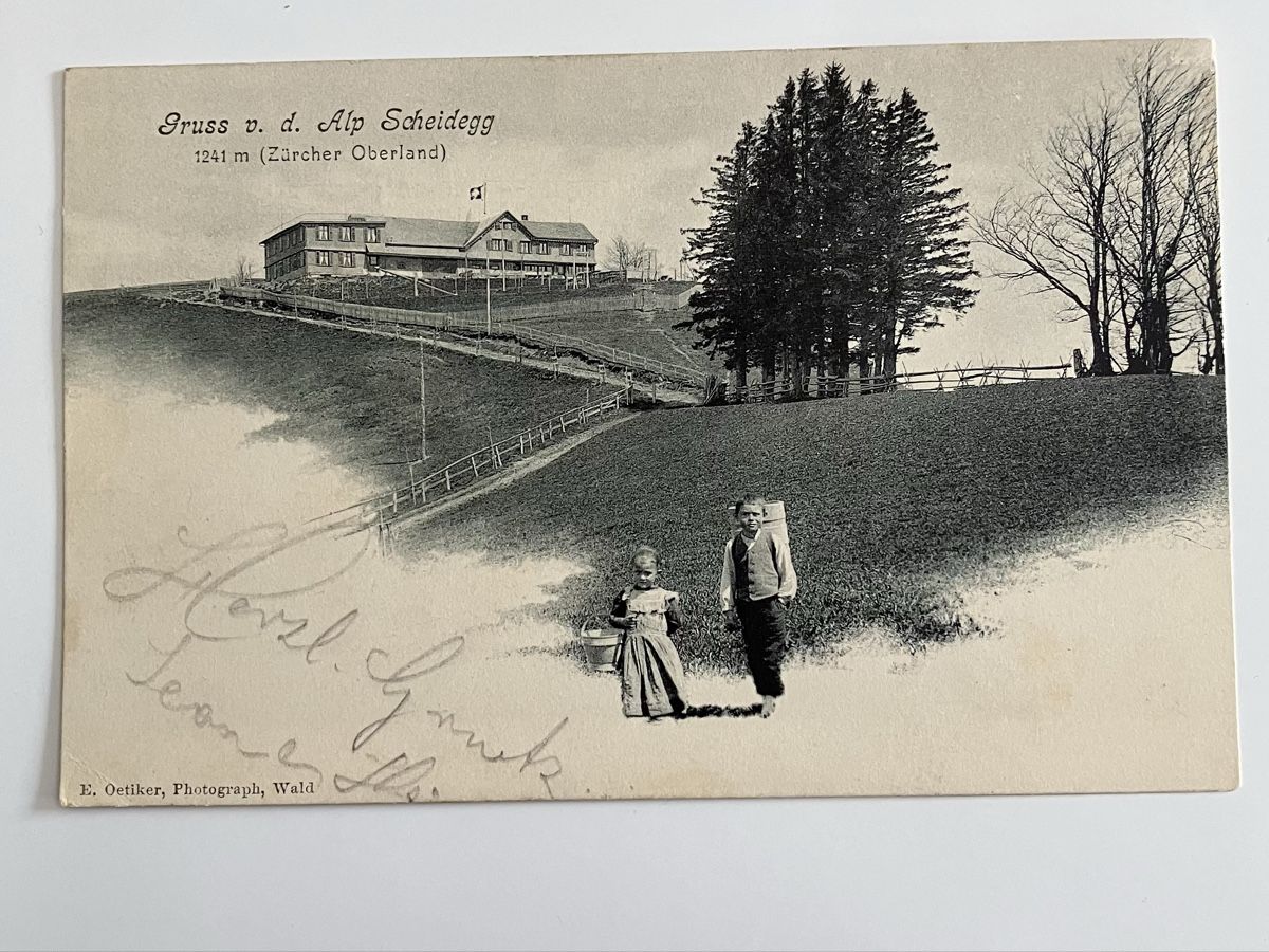 Cartoline postali: Alte Ansichtskarte Gruss von Alp Scheidegg, datiert 1903 – Usato da Bauma venduto da Baumer71