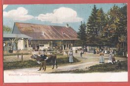 Eschenberg bei Winterthur Bauernhof Landwirtschaft - ca 1905