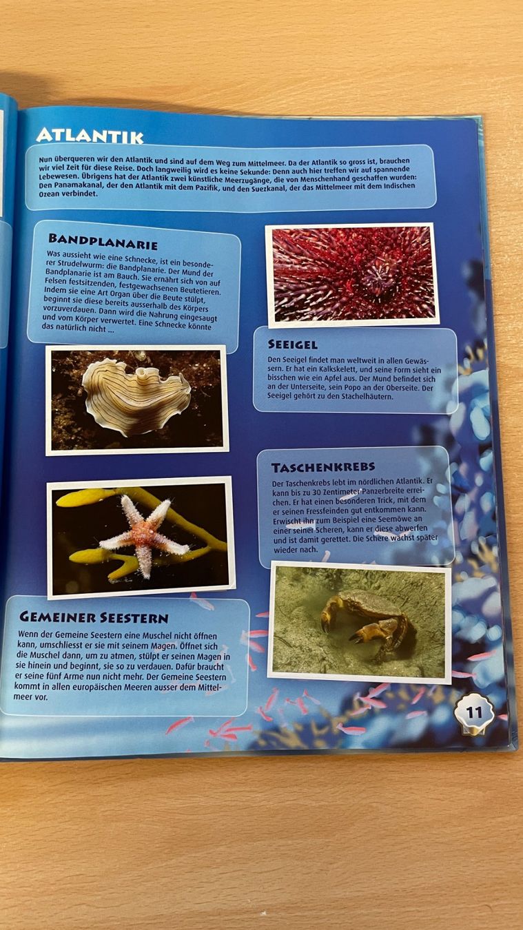 WWF Album: Ocean Mania - Abenteuer Weltmeere – Usato da Glattfelden venduto da markweb 3